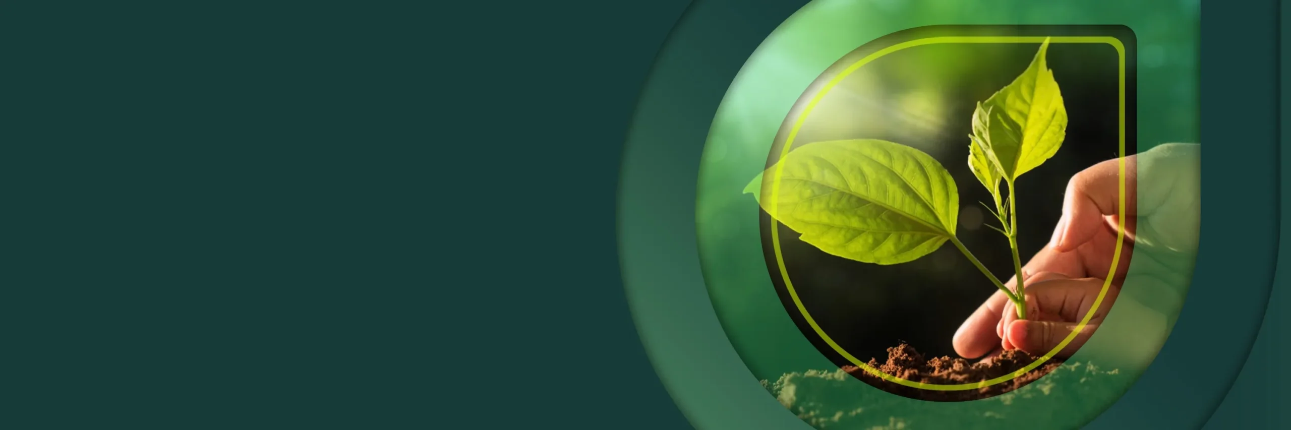 Low Cost WEEE Disposal Services